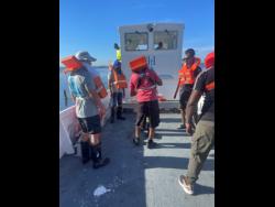 Warrior King a ‘superhero protecting the environment’ | Entertainment