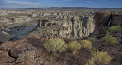 ‘Culture change’: BLM ramps up conservation focus on public lands