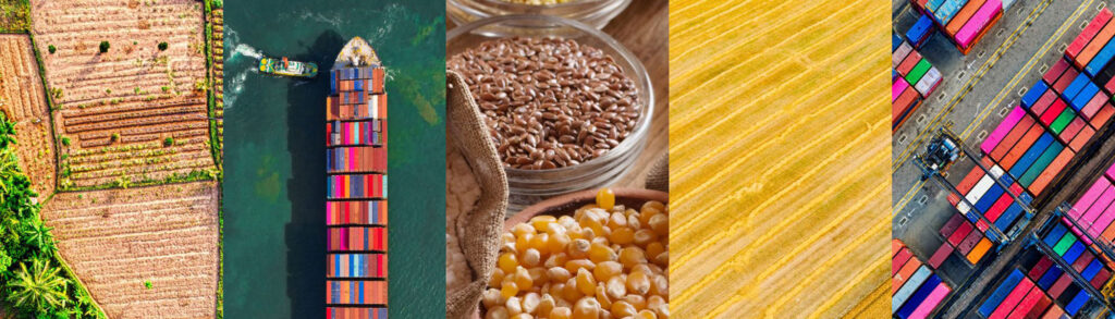 Global Food Crisis Demands Support for People, Open Trade, Bigger Local Harvests