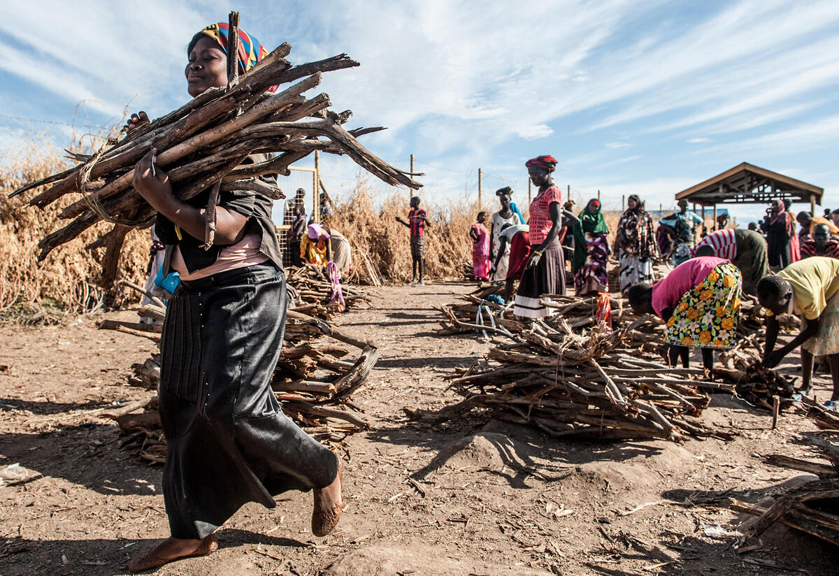 Livelihoods and food security | NRC