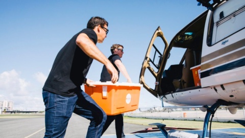 Work | Humanitarian Assistance | Direct Relief