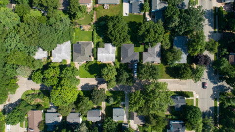 Wisconsin Tree Champions Lauded For Outstanding Community Service