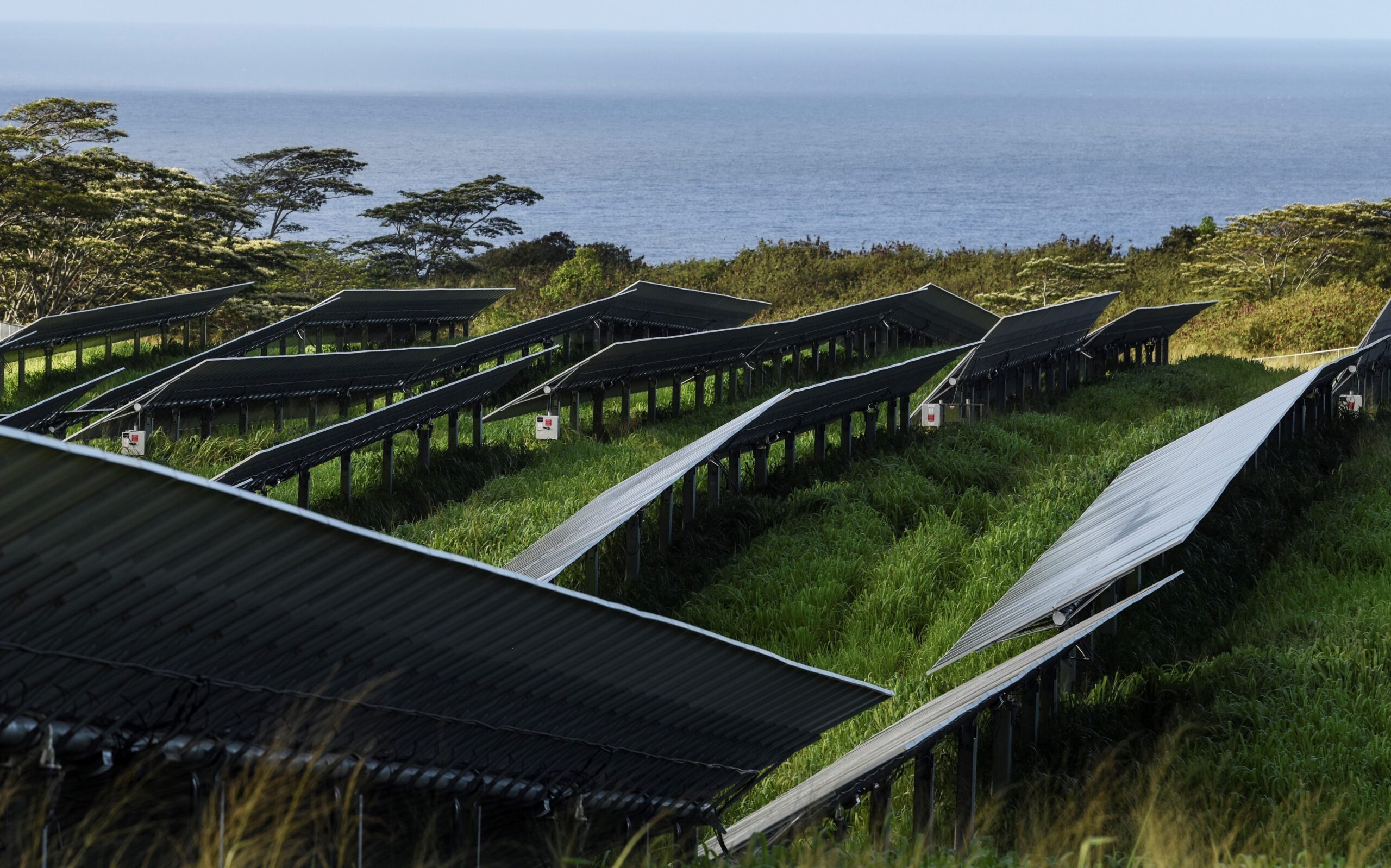 Solar Energy, Wildlife, and the Environment