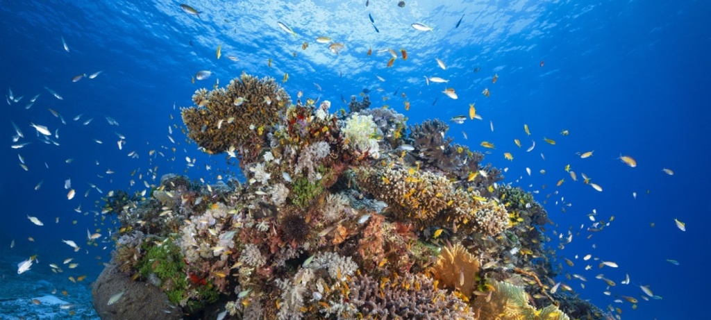 The Nairobi Convention | UNEP The Nairobi Convention | UNEP