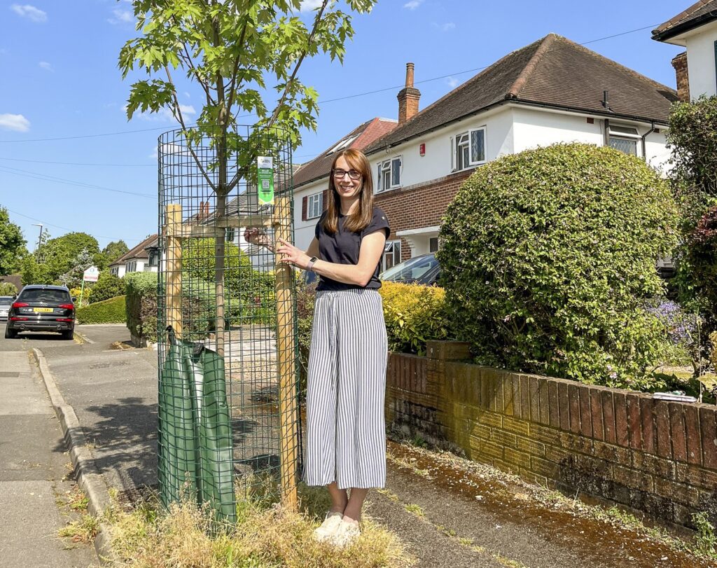 Hundreds of new trees planted in Harrow as residents and council unite Hundreds of new trees planted in Harrow as residents and council unite