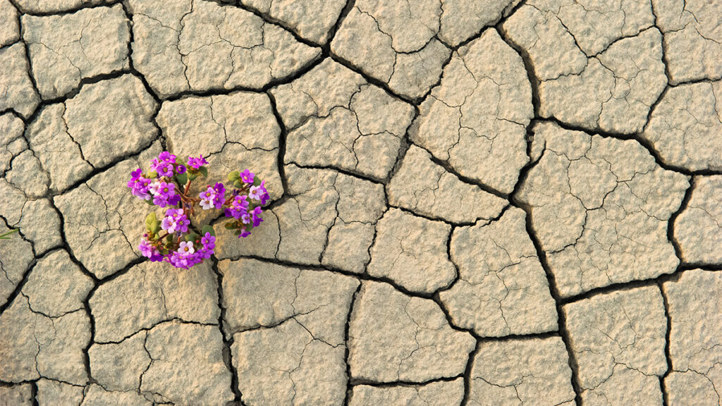 What Leaders Get Wrong About Resilience What Leaders Get Wrong About Resilience