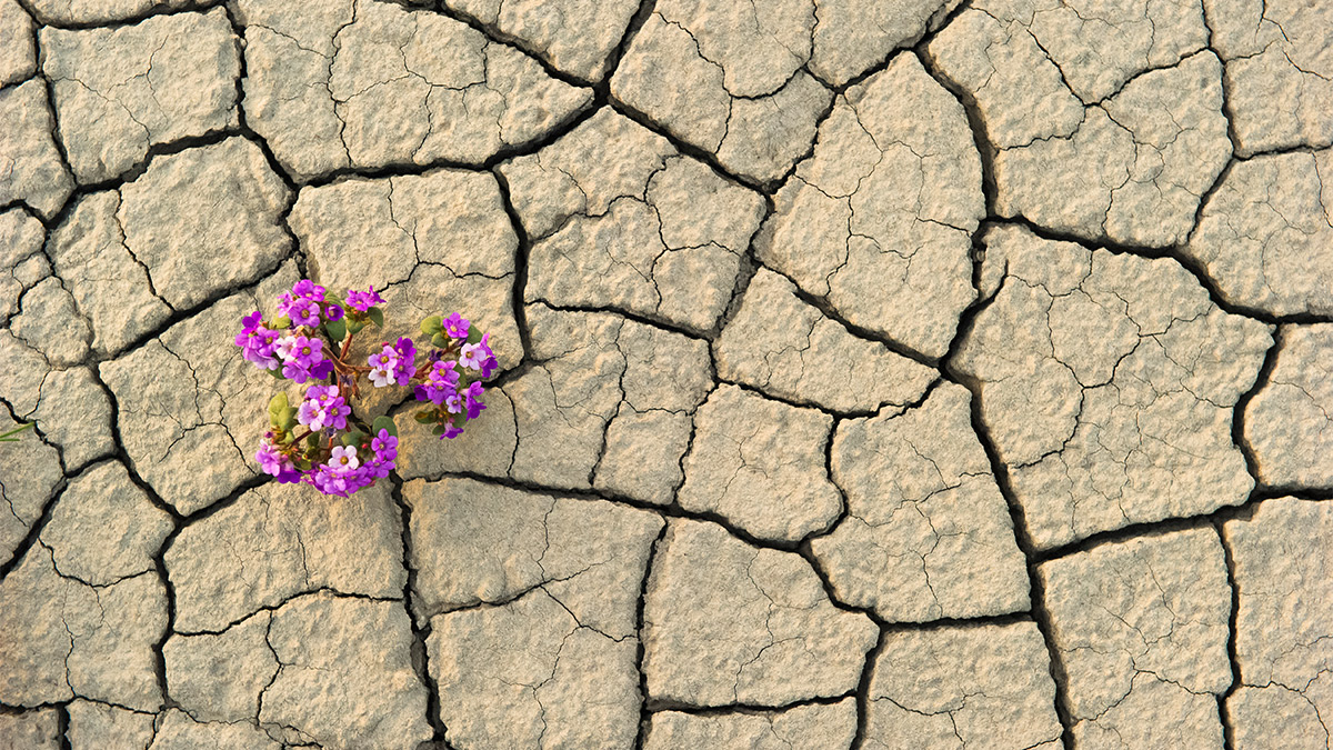 What Leaders Get Wrong About Resilience