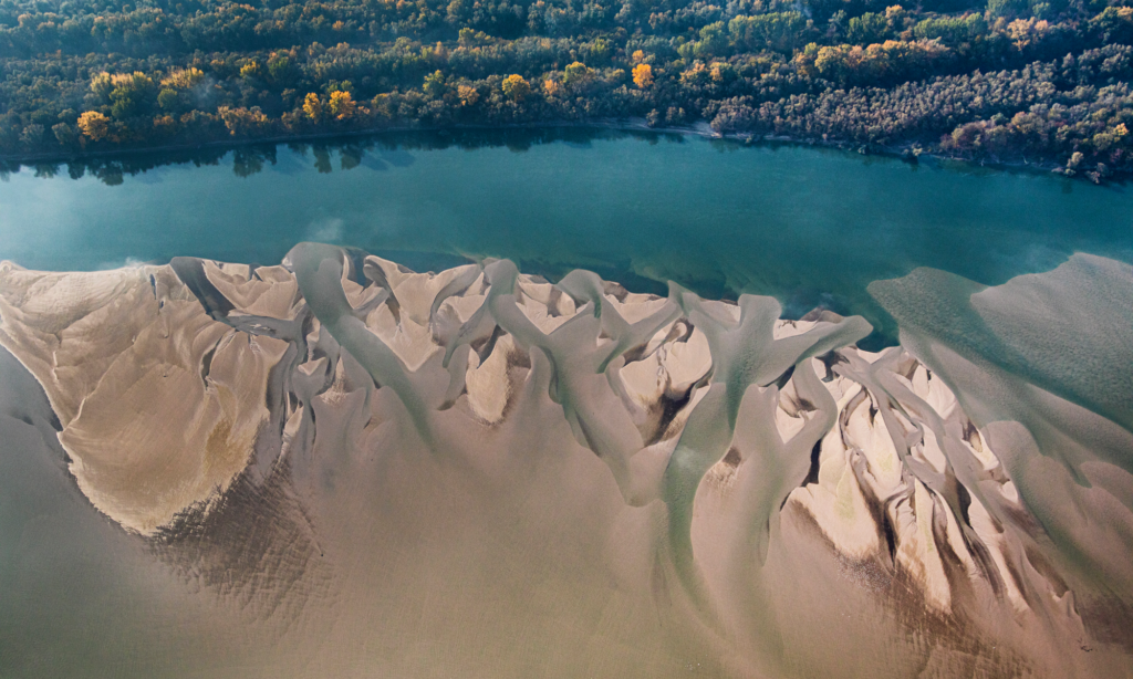 Coca-Cola Foundation