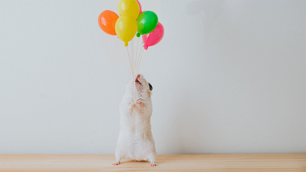 A Little Recognition Can Provide a Big Morale Boost