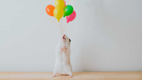 A Little Recognition Can Provide a Big Morale Boost