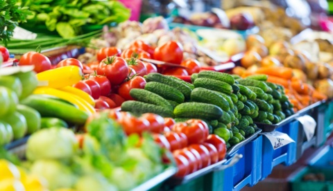 Building Support for Academic Success | News