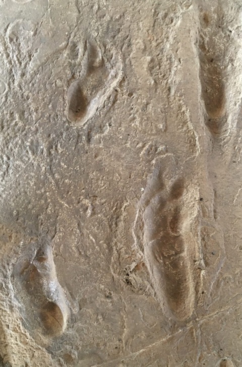 British Council’s Cultural Protection Fund announces new projects – The NEN – North Edinburgh News