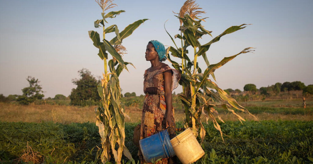 Climate change and displacement | UNHCR