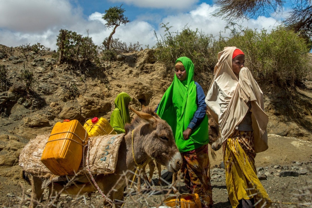 Somalia Food Insecurity Crisis – Famine in Somalia Somalia Food Insecurity Crisis – Famine in Somalia