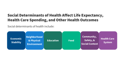 Medicaid Authorities and Options to Address Social Determinants of Health