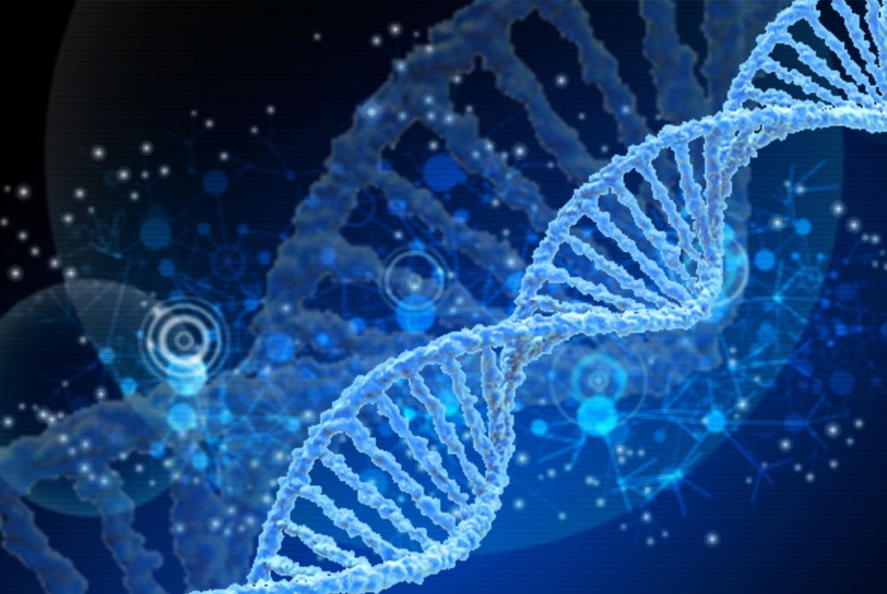 A Billionaire Couple’s Quest to Cure the Genetic Disorder That Claimed Their Son’s Life A Billionaire Couple’s Quest to Cure the Genetic Disorder That Claimed Their Son’s Life