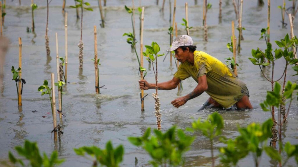 Protecting nature to minimize disaster risks Protecting nature to minimize disaster risks