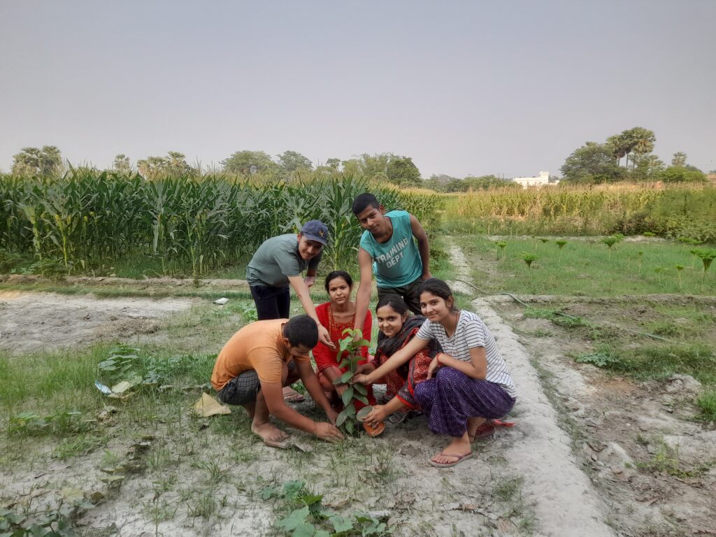 Students planted trees to protect the environment, spread the message of conservation | पर्यावरण की रक्षा के लिए छात्राओं ने किया पौधरोपण, संरक्षण का संदेश – Tajpur (Samastipur) News Students planted trees to protect the environment, spread the message of conservation | पर्यावरण की रक्षा के लिए छात्राओं ने किया पौधरोपण, संरक्षण का संदेश – Tajpur (Samastipur) News