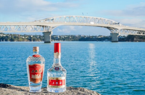 Xinhua Silk Road: Chinese Baijiu maker Wuliangye voted as most-favored Chinese brand by global consumers for third time Xinhua Silk Road: Chinese Baijiu maker Wuliangye voted as most-favored Chinese brand by global consumers for third time