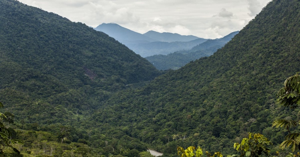 When protecting nature helps build peace When protecting nature helps build peace