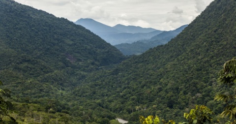 When protecting nature helps build peace