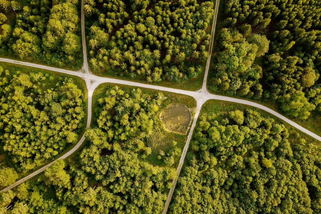 Six ways that governments can drive the green transition | EY Six ways that governments can drive the green transition | EY