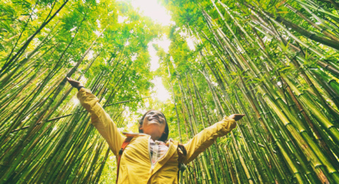 Protecting the environment using human rights law