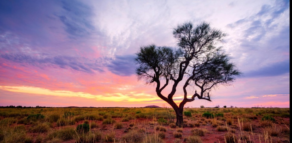 We should use Australia’s environment laws to protect our ‘living wonders’ from new coal and gas projects