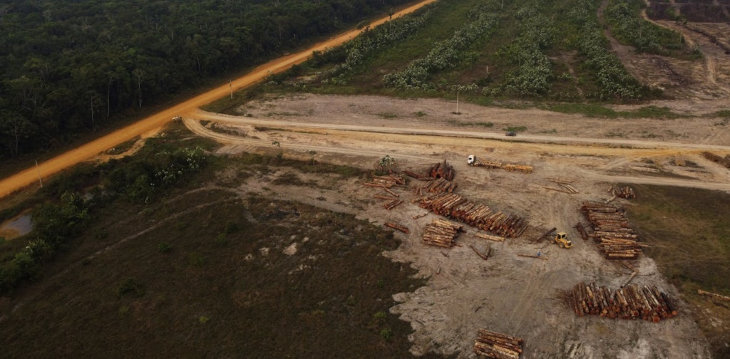 How true environmental protection requires a revolution in how we talk about, and with, our forests How true environmental protection requires a revolution in how we talk about, and with, our forests