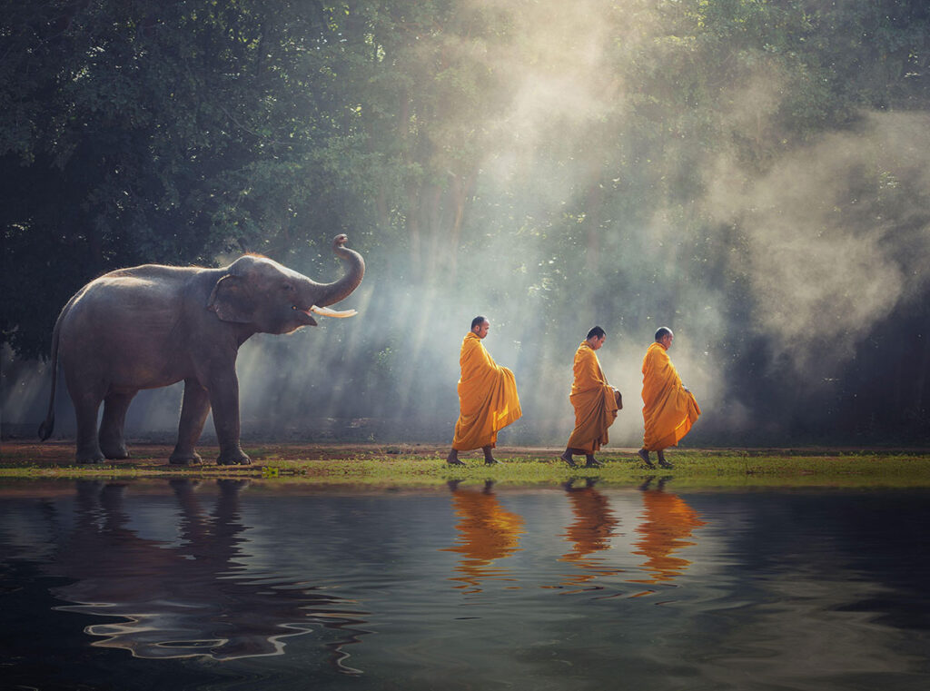 How Buddhist Monks are Protecting Thailand’s Environment How Buddhist Monks are Protecting Thailand’s Environment