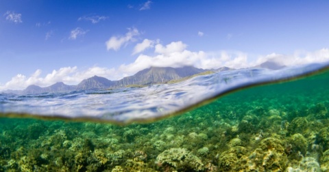 Environmental Conservation Laws