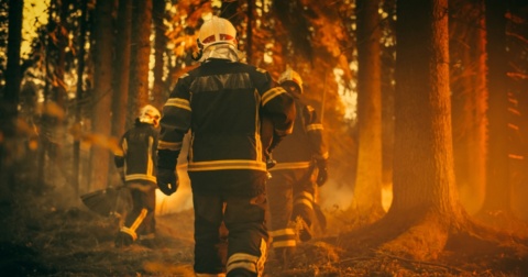 How TD Insurance is helping those affected by wildfires