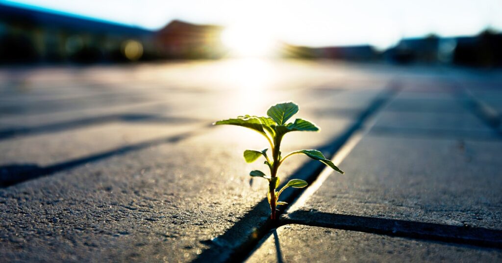 Famous Quotes About Overcoming Adversity | CO