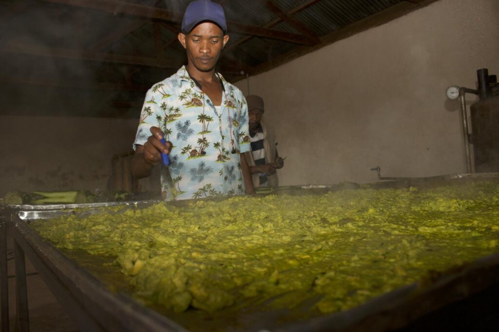 How informal innovators are shaping Africa’s future How informal innovators are shaping Africa’s future