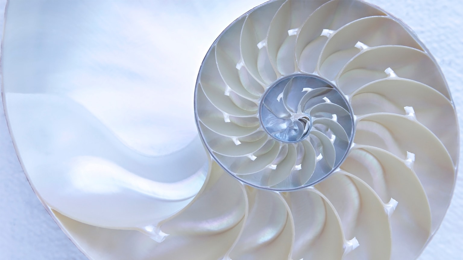 How nonprofits can structure inclusion practices for greater impact How nonprofits can structure inclusion practices for greater impact