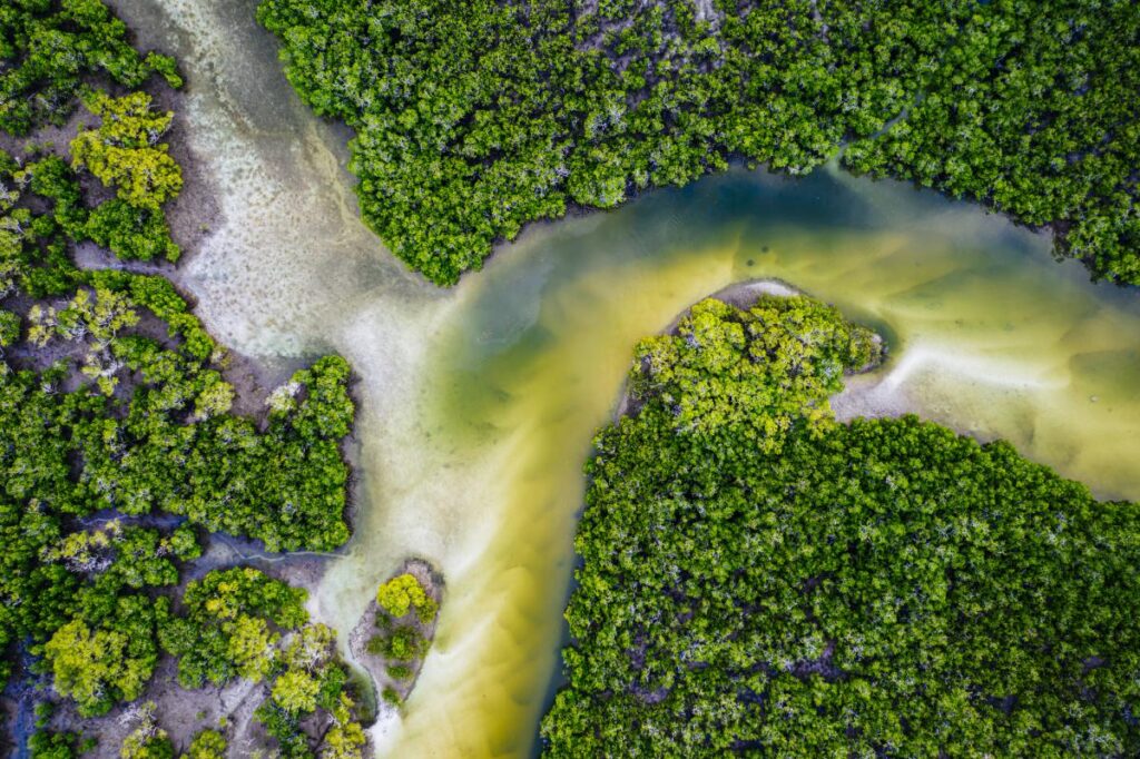 Climate Adaptation and Protected Areas Initiative Climate Adaptation and Protected Areas Initiative