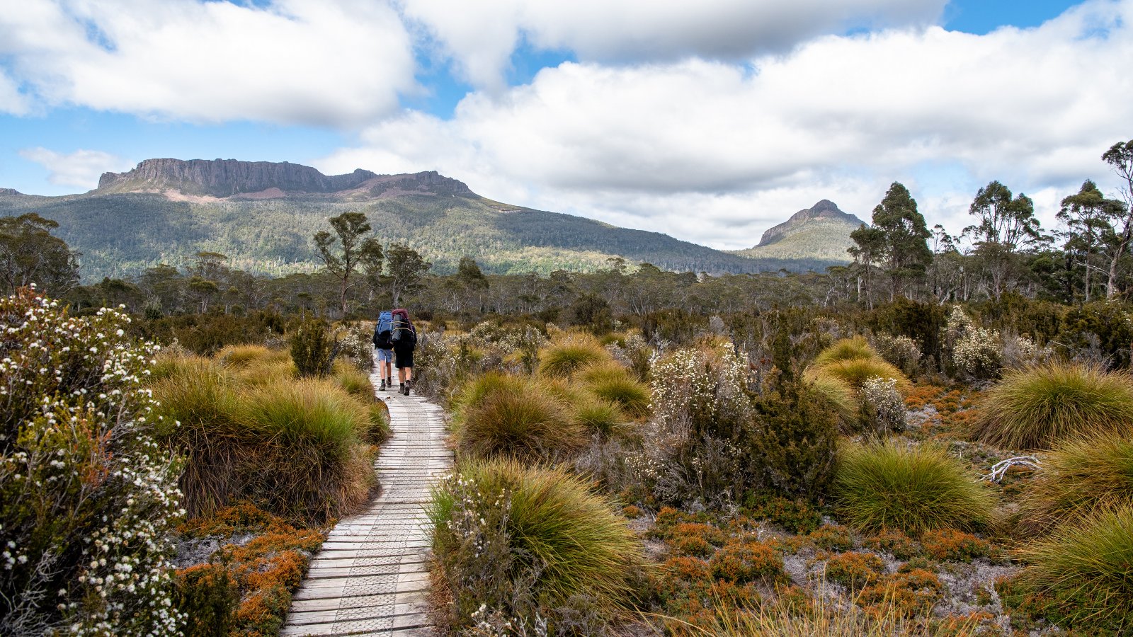 Tasmanian Greens MPs | Protecting lutruwita/Tasmania’s environment