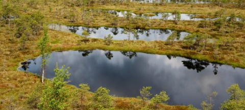 Protecting peatlands for people and planet | UNEP