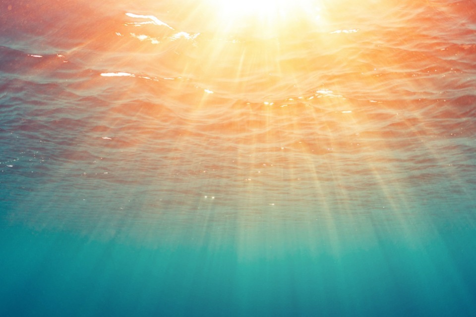 UK supports moratorium on deep sea mining to protect ocean and marine ecosystems