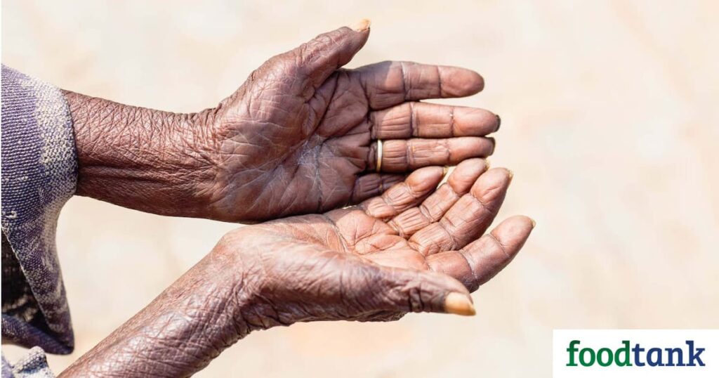 On #WorldRefugeeDay, These 19 Global Organizations Are Redefining Food Aid – Food Tank