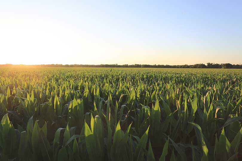 Ag dedicated to sustainability, protecting environment