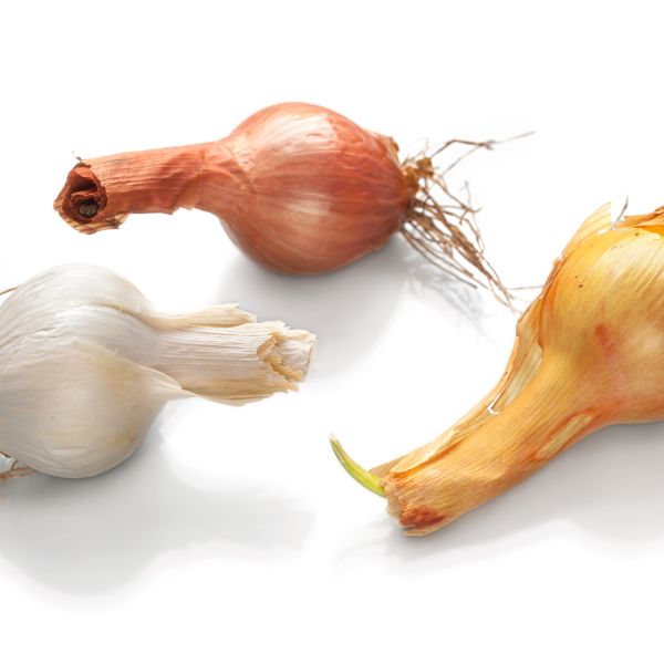 Are Genetically Modified Crops the Answer to World Hunger?