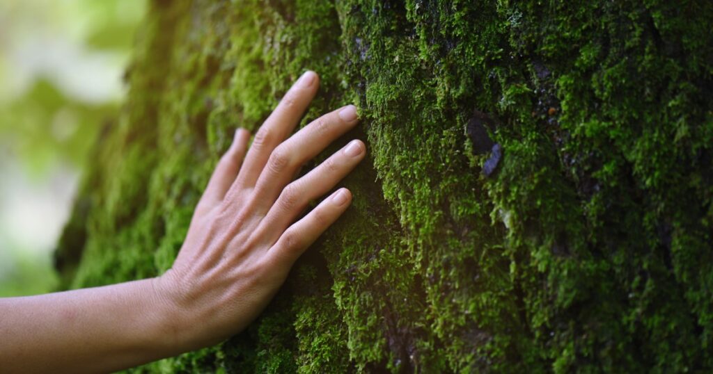 Inspiring a Love for Nature and a Desire to Protect the Environment Inspiring a Love for Nature and a Desire to Protect the Environment