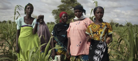 10 Countries Facing Underreported Crises You Need to Know About in 2023