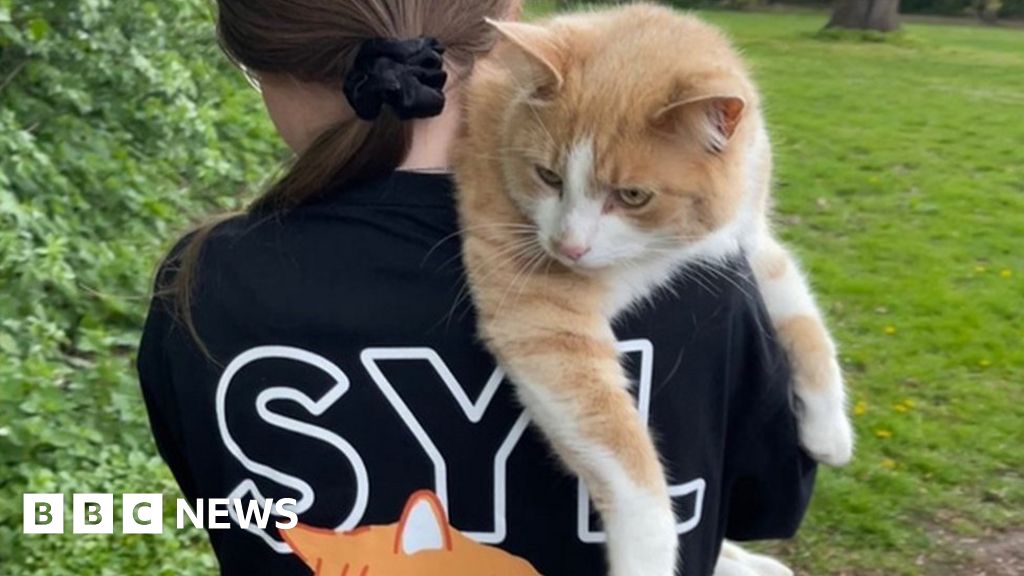 University of East Anglia’s campus cat helps raise money for charity University of East Anglia’s campus cat helps raise money for charity