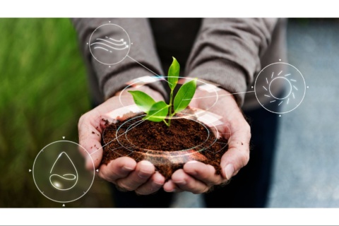 Innovation Meets Tradition To Shape India’s Agricultural Future Innovation Meets Tradition To Shape India’s Agricultural Future