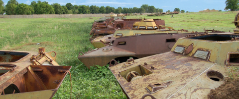 International Day for Preventing the Exploitation of the Environment in War and Armed Conflict | Messages