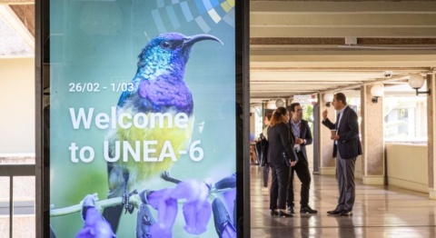 What is the UN Environment Assembly and why does it matter?