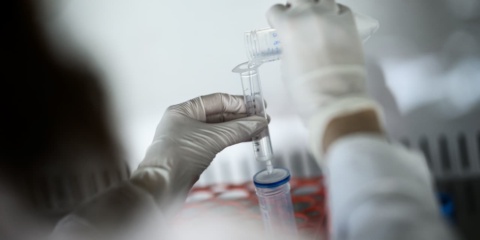 Science and Tech Ideas Need Philanthropic Support. A New Eric and Wendy Schmidt-Backed Advisory Aims to Help.