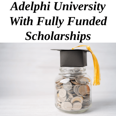 Adelphi University stands as a beacon of opportunity and academic excellence, proudly offering fully funded scholarships that empower students to pursue their educational aspirations without financial burden.